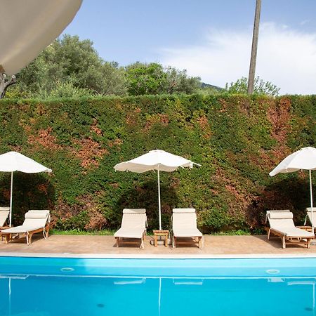 Vila Florika Hotel ボルシュ エクステリア 写真