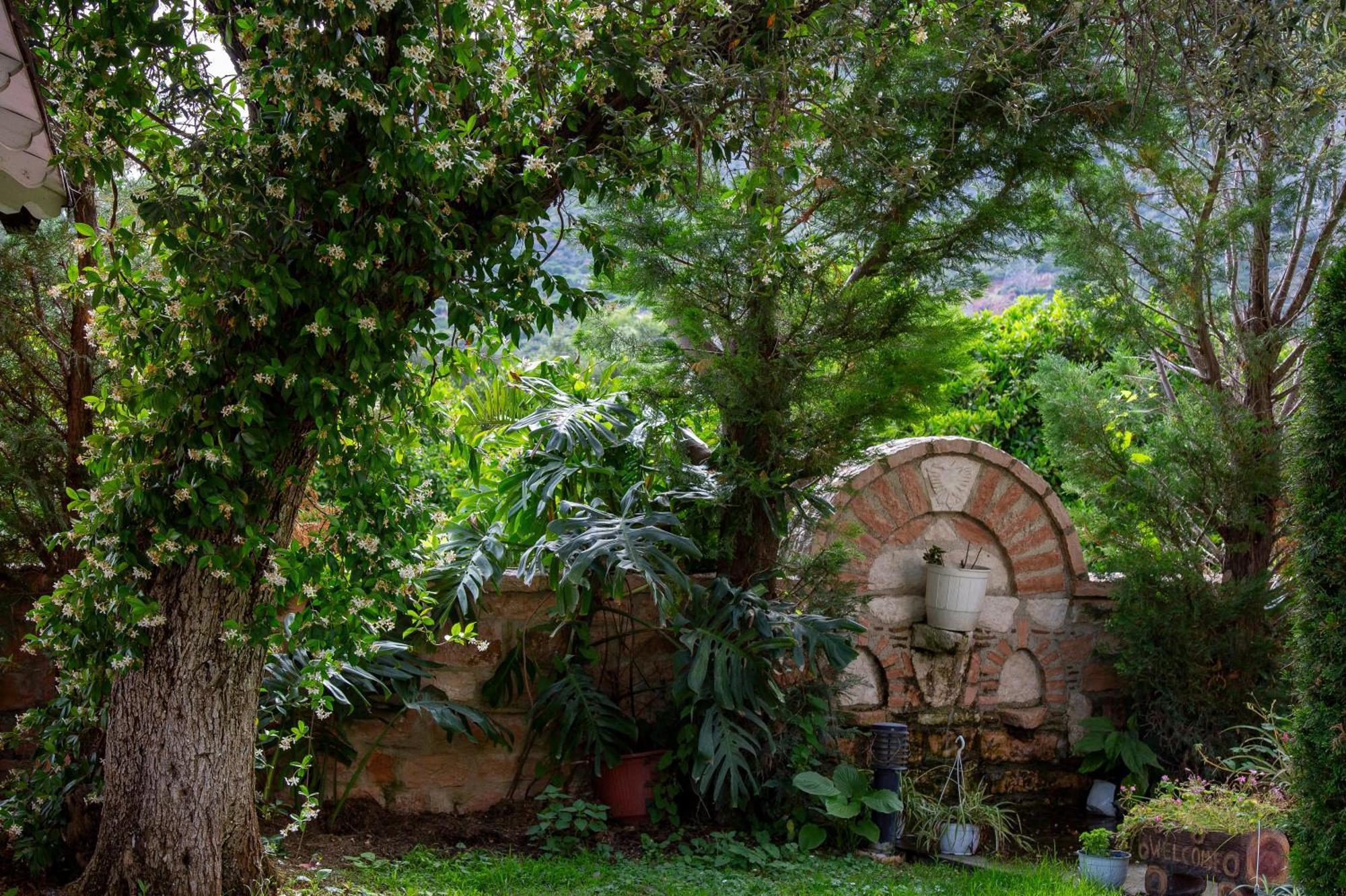 Vila Florika Hotel ボルシュ エクステリア 写真