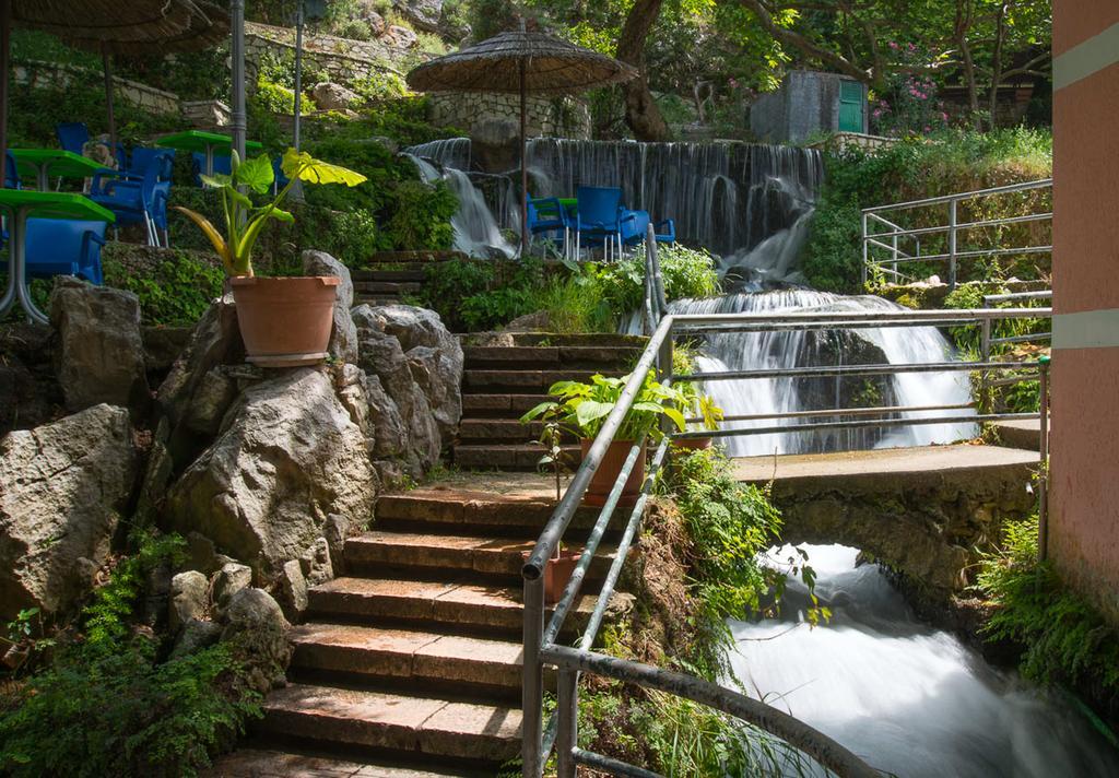 Vila Florika Hotel ボルシュ エクステリア 写真