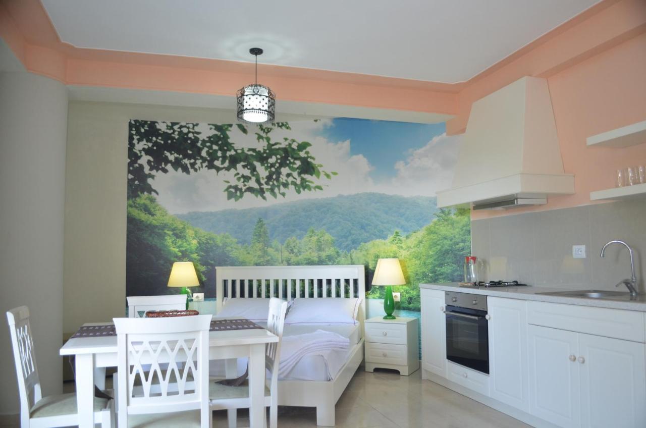 Vila Florika Hotel ボルシュ エクステリア 写真